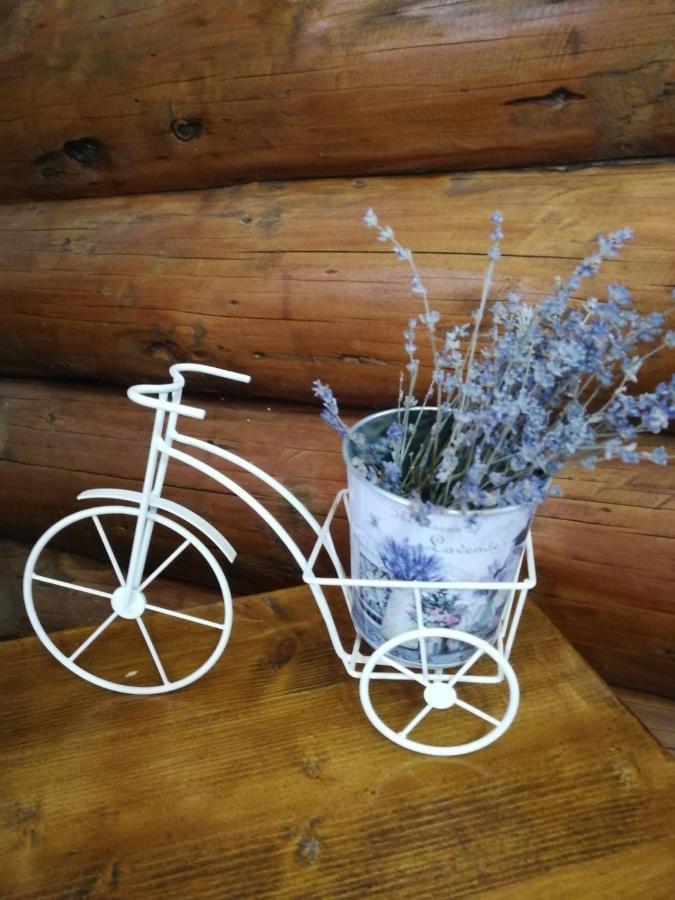Cabana Rustic Balea Cartisoara Luaran gambar
