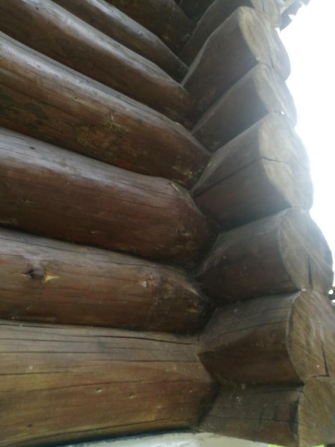 Cabana Rustic Balea Cartisoara Luaran gambar