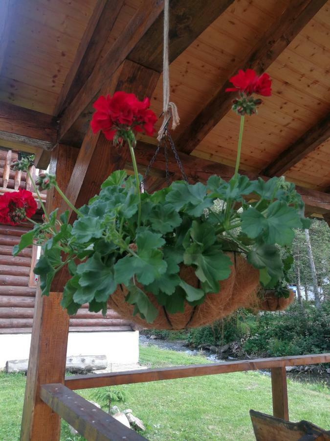 Cabana Rustic Balea Cartisoara Luaran gambar